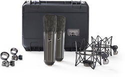  Warm audio WA-87 R2 TS