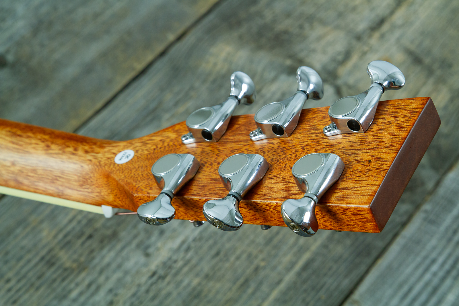 Wesland Bg350-nat Travel Shsc Tout Acajou Tec - Natural - Folk gitaar - Variation 8