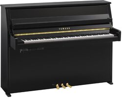 B10 PE TransAcoustic