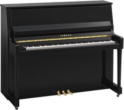 B30 PE