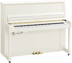 B30 PWH TransAcoustic