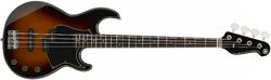 BB434 (RW) - tobacco brown sunburst