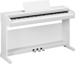 YDP-146 WH