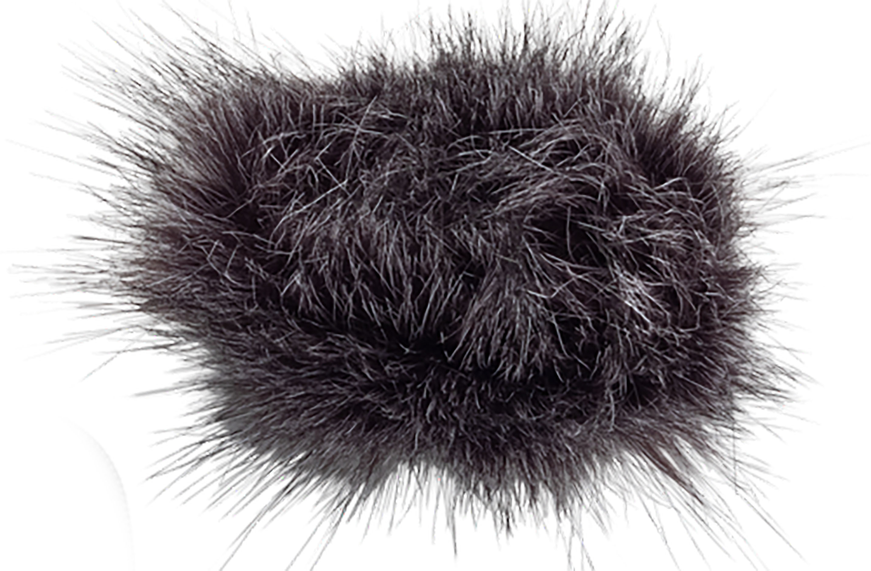 Zoom Wsh-1e - Bonnette En Mousse - Windbescherming & windjammer voor microfoon - Main picture